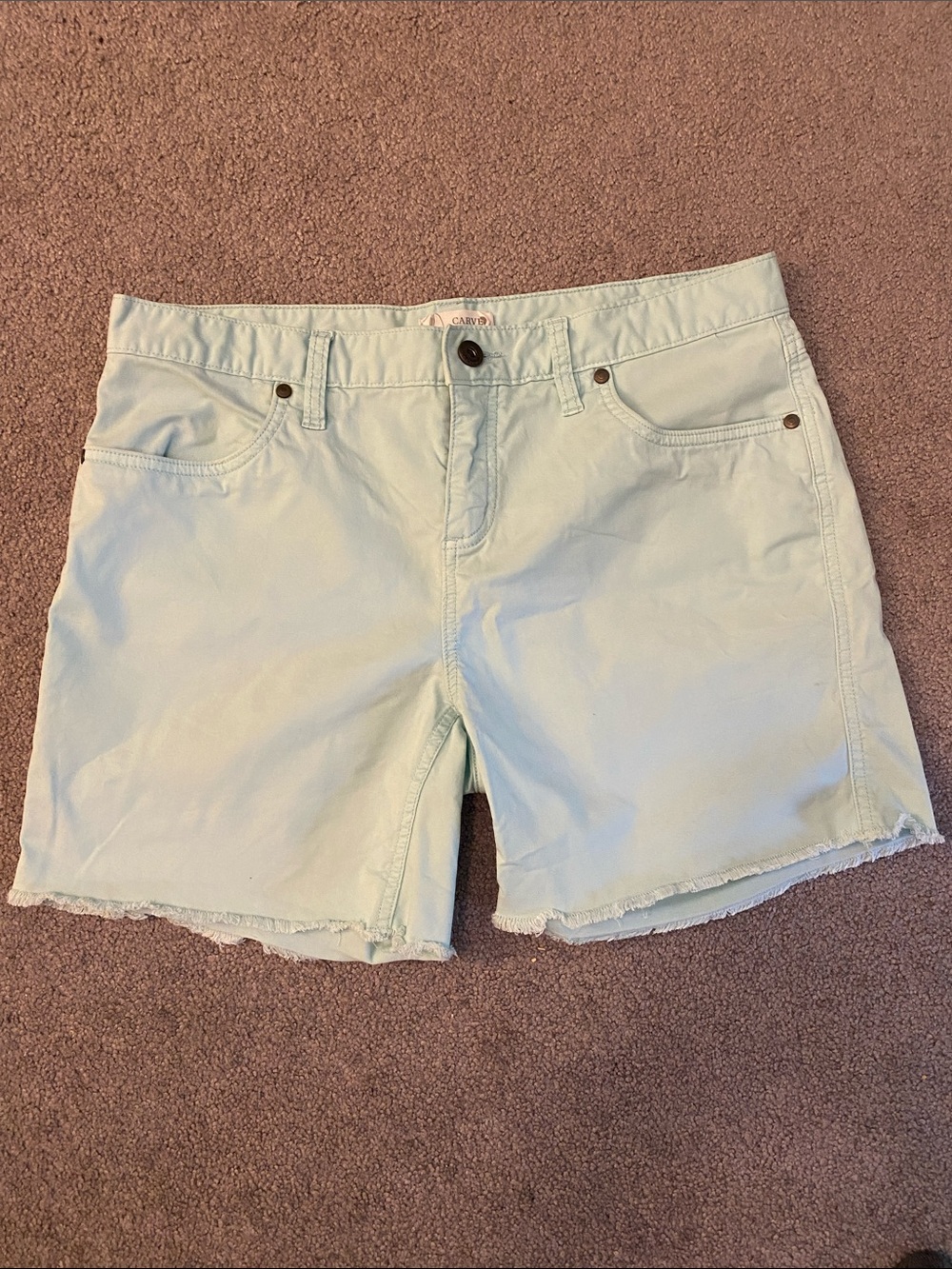 Carve Designs Summer Shorts